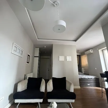 公寓 Deluxe Newsky With Terrace 贝尔格莱德